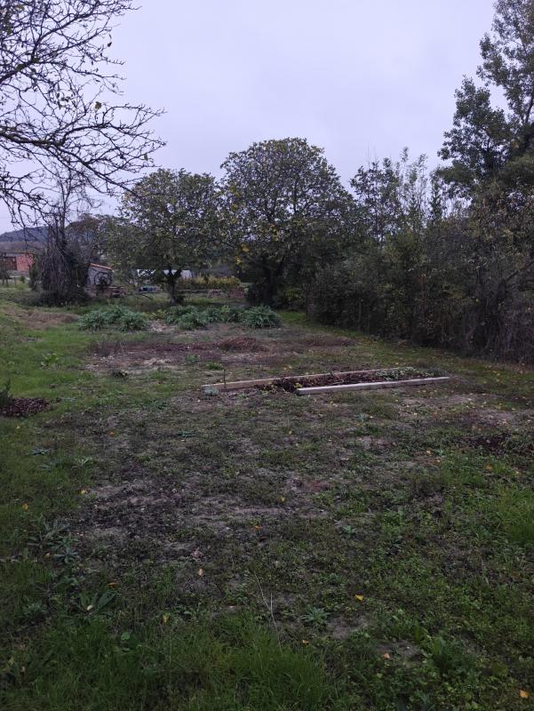 Maison de village - 62 m² - 3 pièces