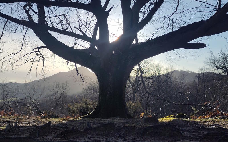 Randonnée accompagnée : Ibanteli