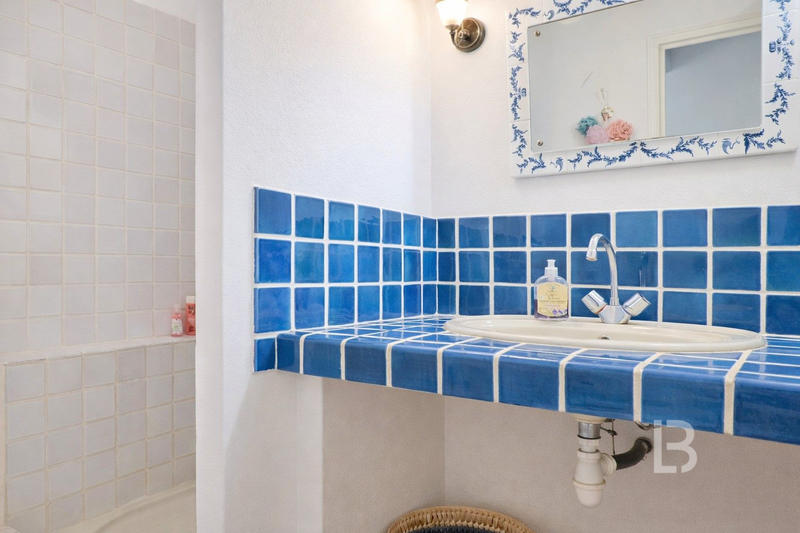 Mas - 325 m² - 10 pièces