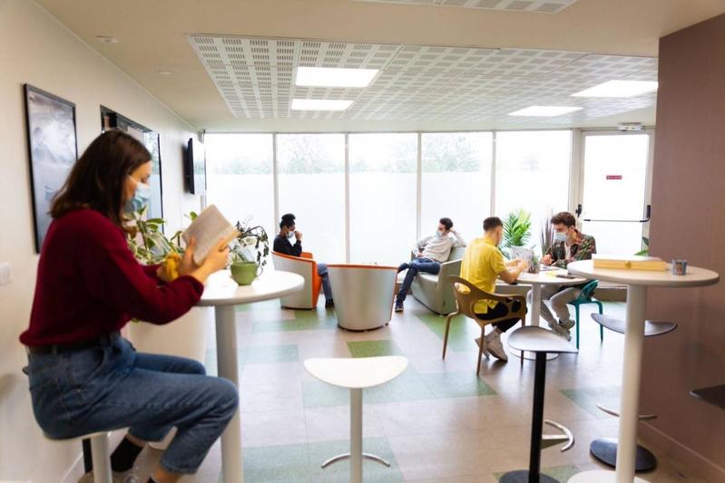 Studio - 19 m² - 1 pièce