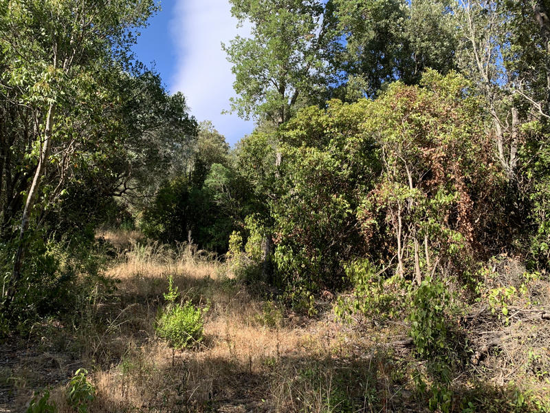 Villa - 85 m² - 4 pièces