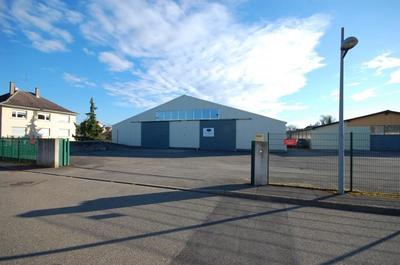 Local d'activités - 980 m²