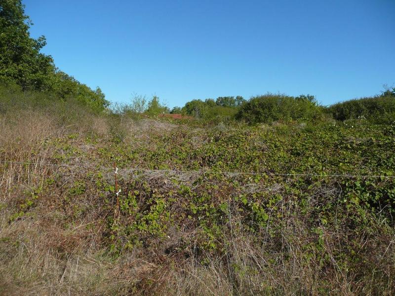 Terrain constructible - 5 345 m²