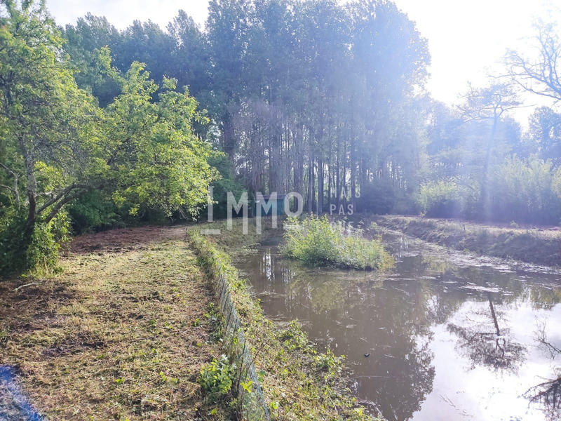 Terrain de loisirs - 9 800 m²