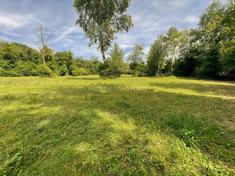 Maison - 240 m² - 7 pièces