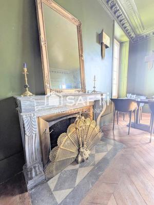 Château - 498 m² - 17 pièces