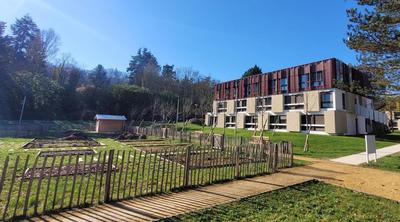 Studio - 20 m² - 1 pièce