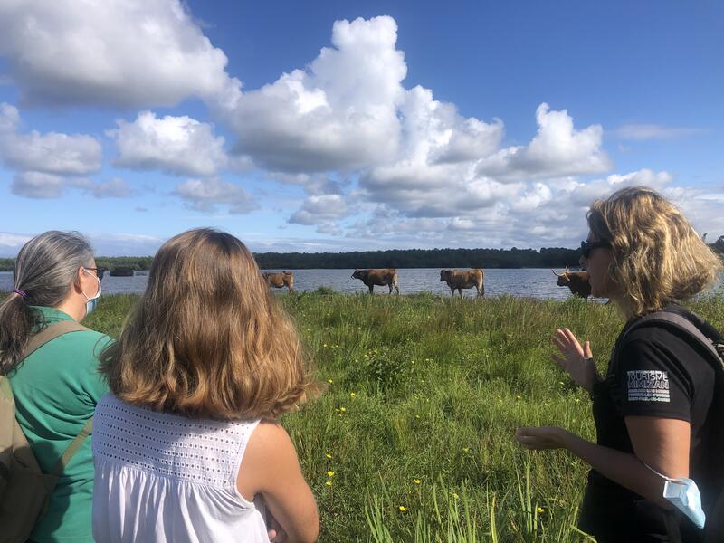 Promenade nature: le tour du  lac d'Aureilhan
