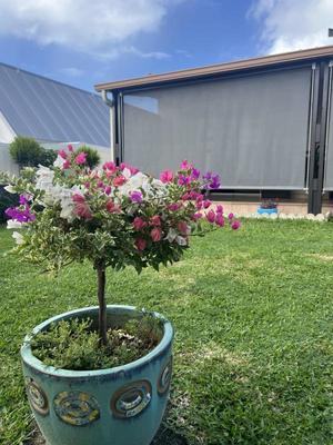 Villa - 170 m² - 5 pièces