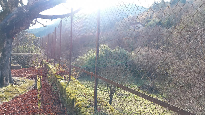 Local commercial - 1 082 m²