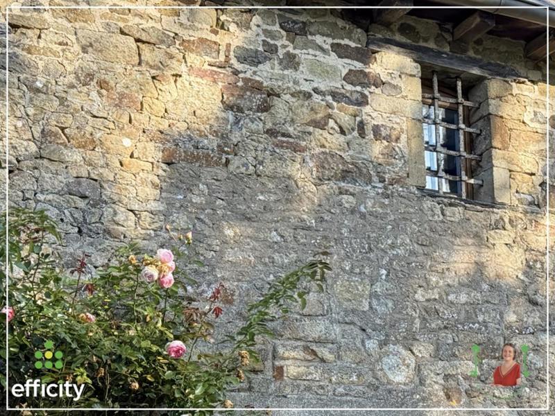 Manoir - 290 m² - 14 pièces