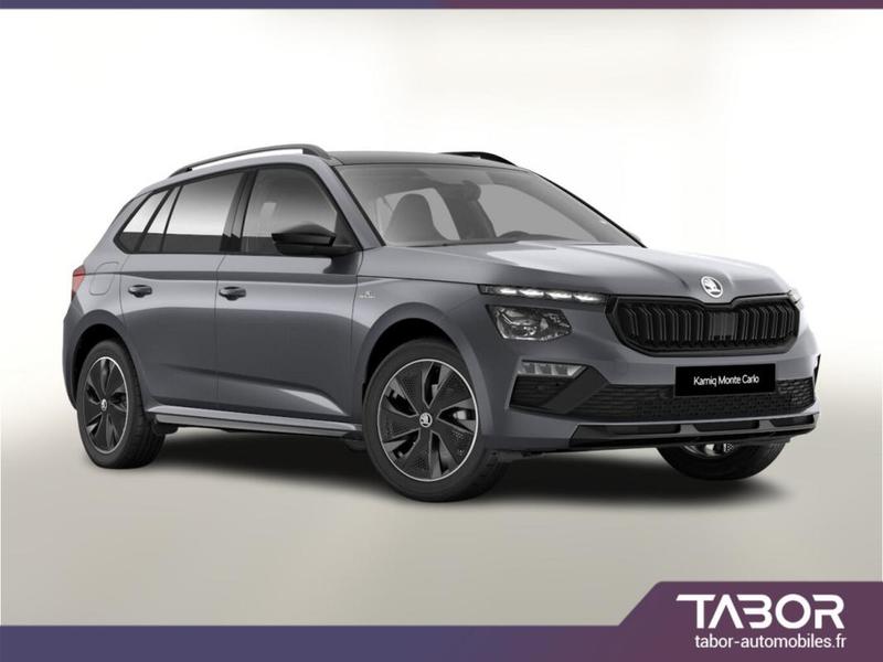 Skoda Kamiq Dsg Monte Pano Matrix Kam Shz Kessy