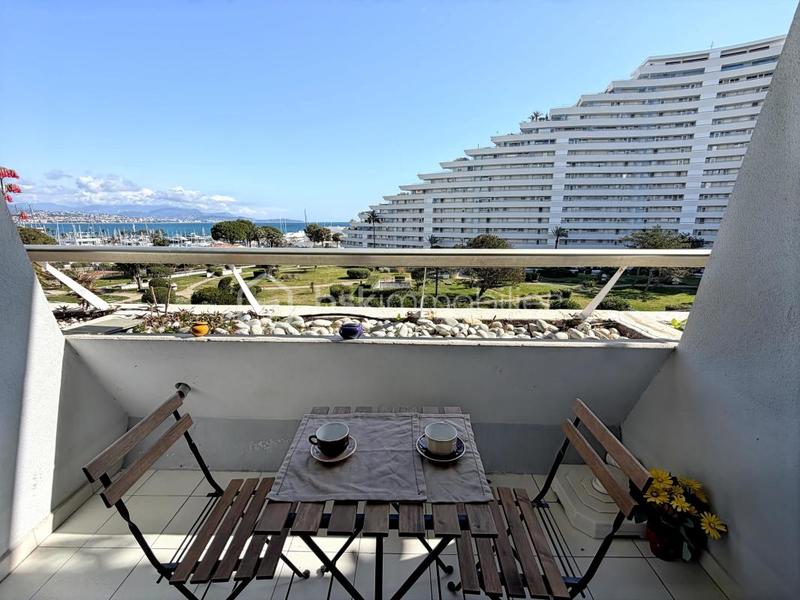 Studio - 24 m² - 1 pièce