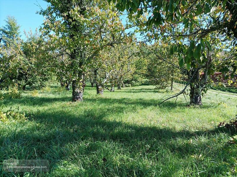 Terrain constructible - 1 628 m²