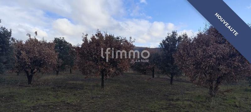 Terrain agricole - 45 000 m²