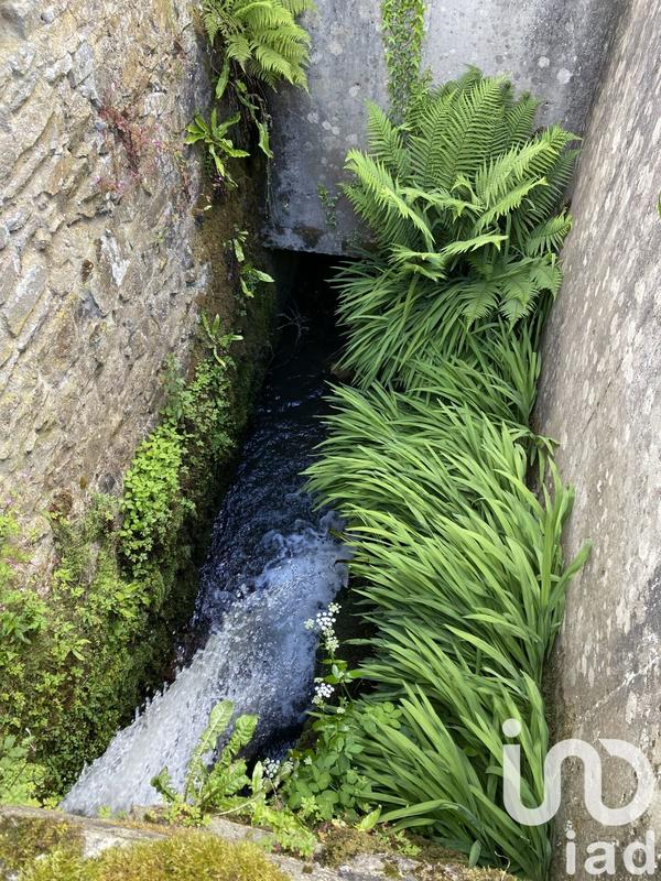 Maison de campagne - 95 m² - 4 pièces