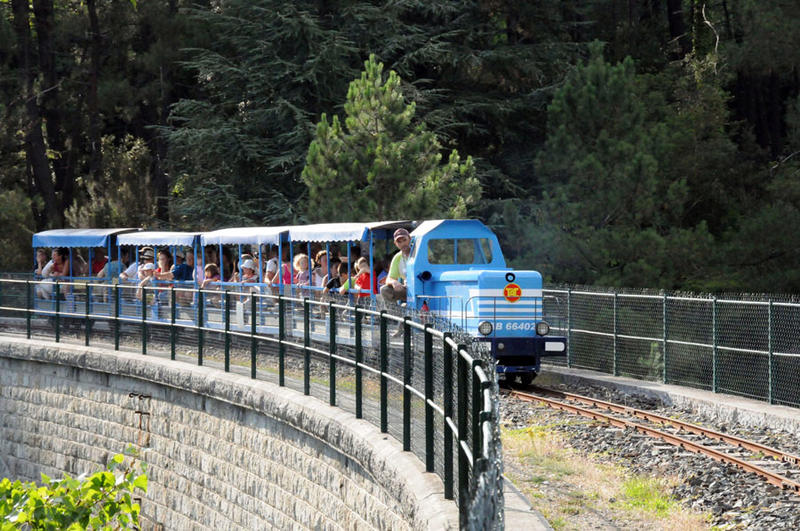Chasse aux Oeufs du Train de l'Andorge en Cévennes