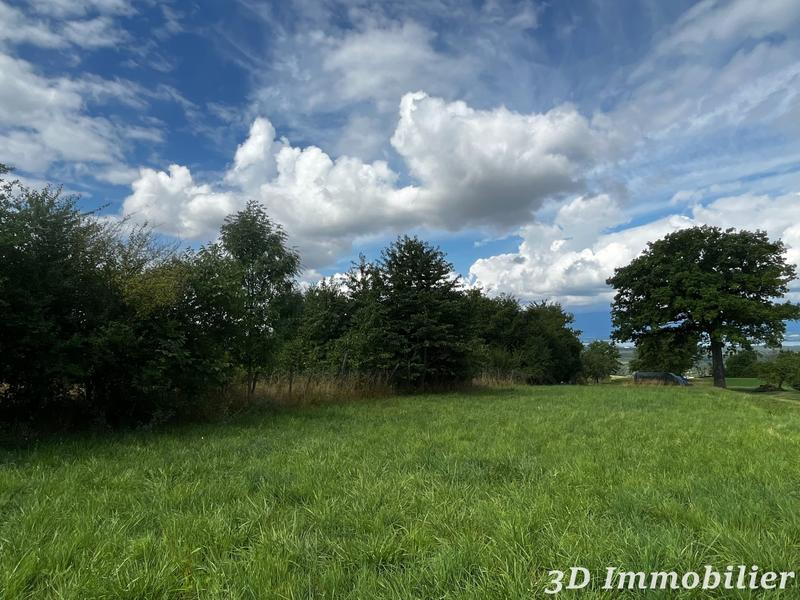 Maison - 450 m² - 10 pièces