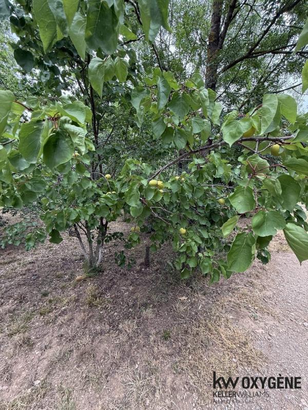 Terrain agricole - 4 860 m²