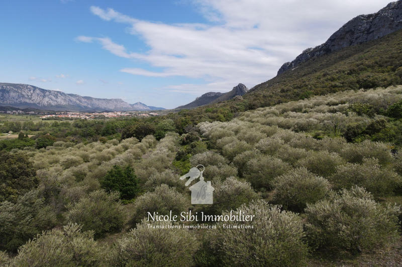 Terrain agricole - 45 557 m²