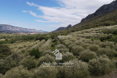 Terrain agricole - 45 557 m²