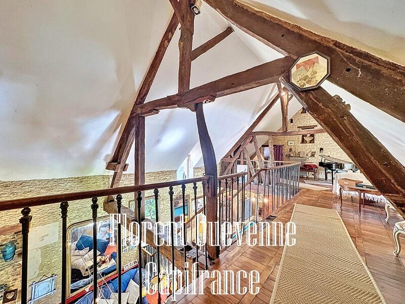 Maison en pierre - 373 m² - 7 pièces