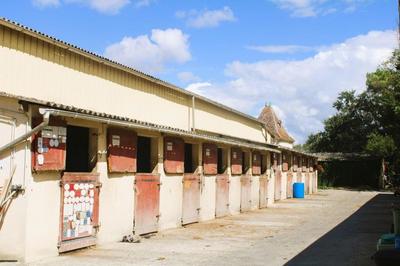 Propriété - 80 m² - 6 pièces