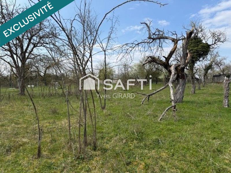 Terrain - 1 031 m²