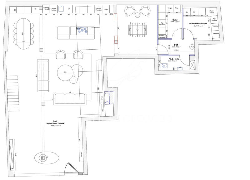 Loft - 194 m² - 5 pièces