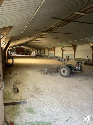 Ferme - 135 m² - 5 pièces