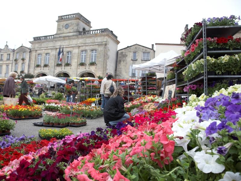 Marché aux fleurs de Bazas