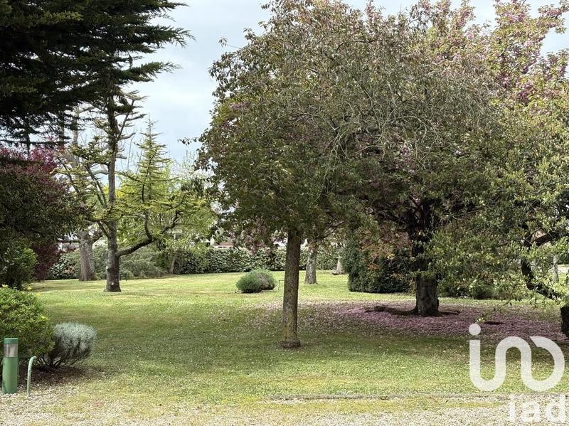 Appartement - 74 m² - 3 pièces