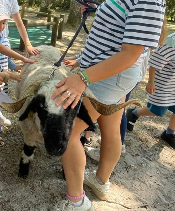 Les rêves s'éveillent à Marmande