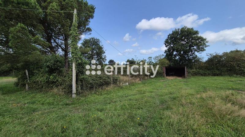 Maison - 180 m² - 6 pièces