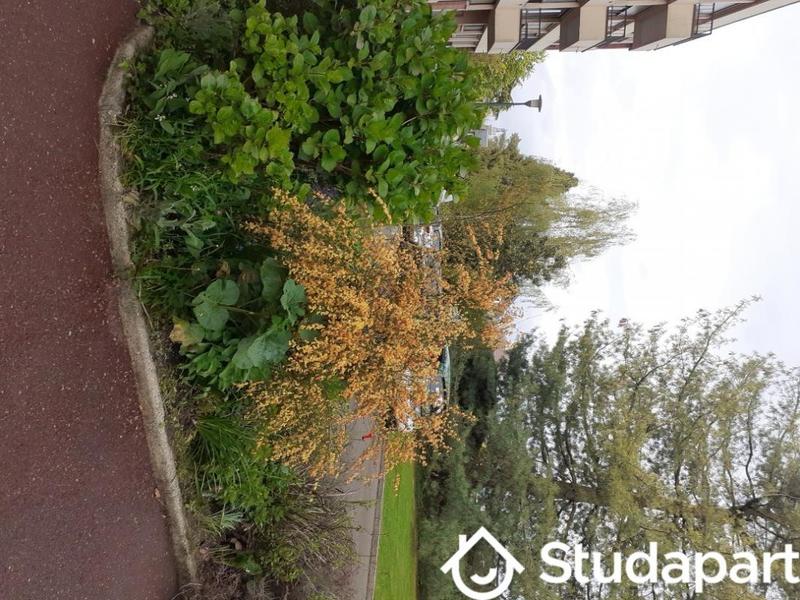 Chambre - 71 m² - 1 pièce