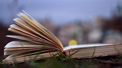 Le Printemps des Poètes