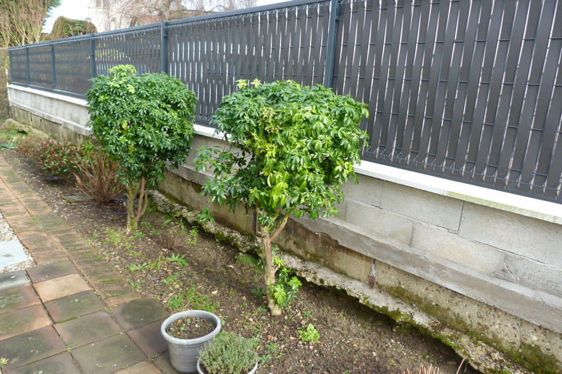 Maison - 70 m² - 4 pièces