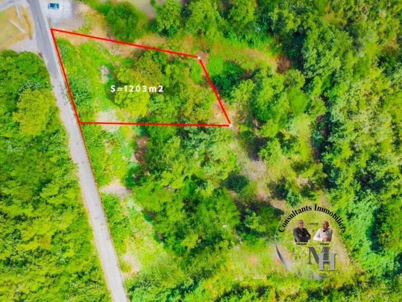 Terrain constructible - 1 203 m²