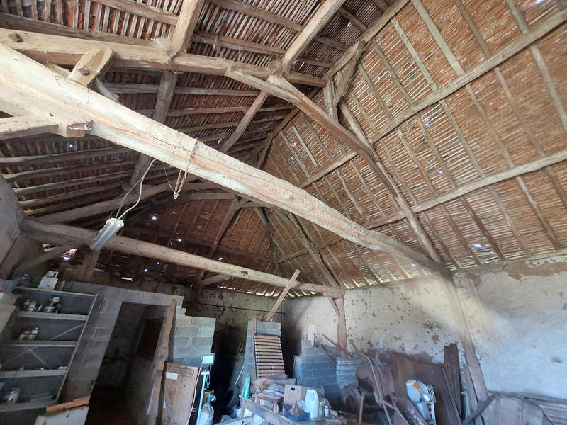 Viager - Maison - 200 m² - 6 pièces