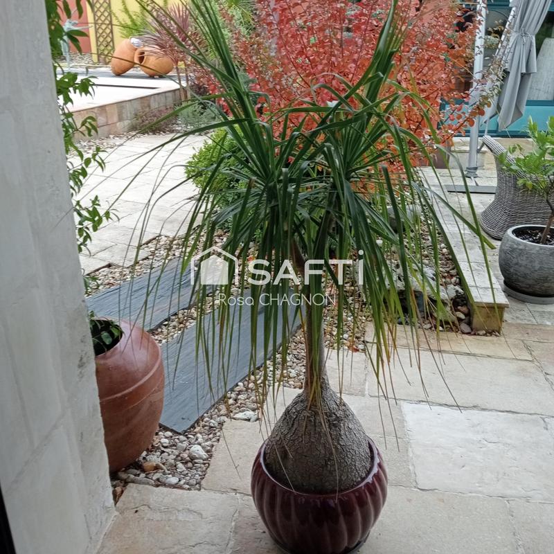 Maison - 220 m² - 7 pièces