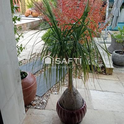 Maison - 220 m² - 7 pièces