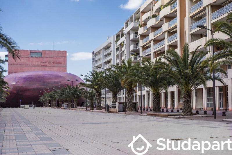 Appartement - 19 m² - 1 pièce