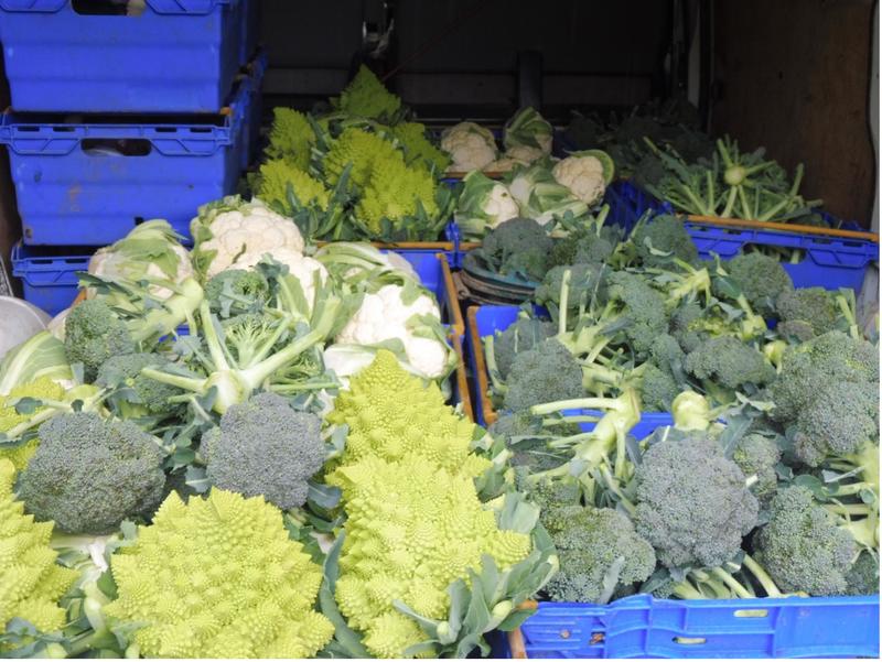 Marché de producteur la Ronde des Légumes