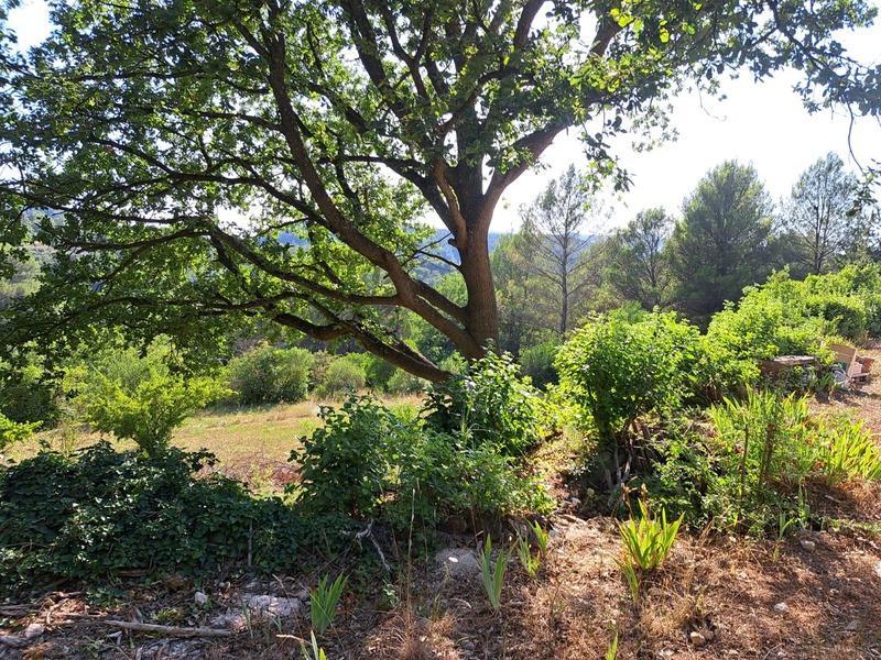 Maison - 132 m² - 6 pièces