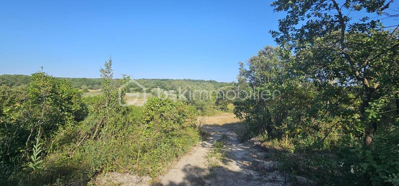 Terrain agricole - 15 401 m²
