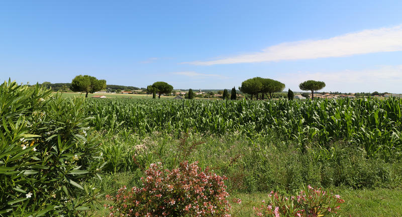 Maison - 220 m² - 7 pièces