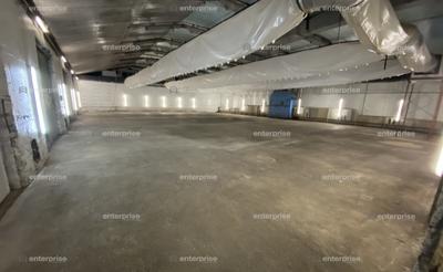 Local d'activité / Entrepôt - 16 000 m²