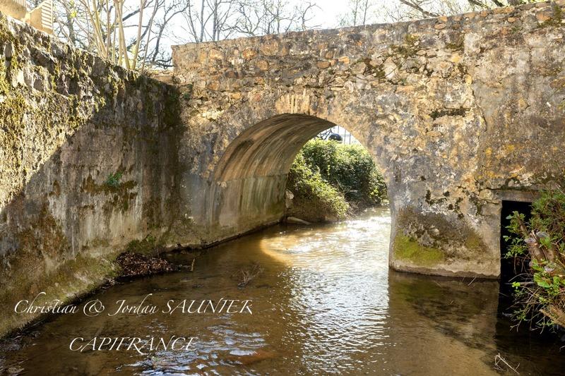 Propriété - 391 m² - 10 pièces