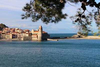 Appartement - 22 m² - 1 pièce