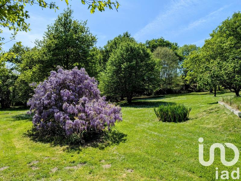 Maison de maîtres - 185 m² - 6 pièces